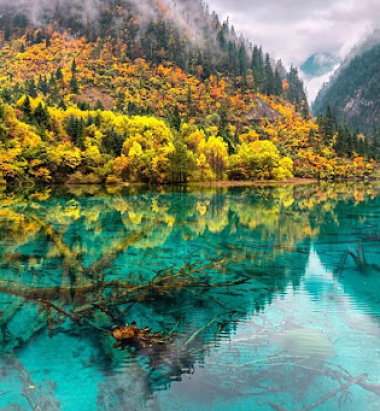 BOOK TOUR DU LỊCH TRỌN GÓI GIÁ TỐT – KHÁM PHÁ THẾ GIỚI CÙNG GSTRAVEL