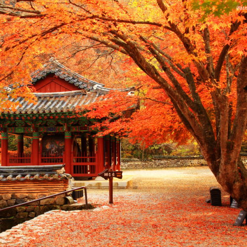 CÔNG TY TNHH DU LỊCH GOLDEN SKY