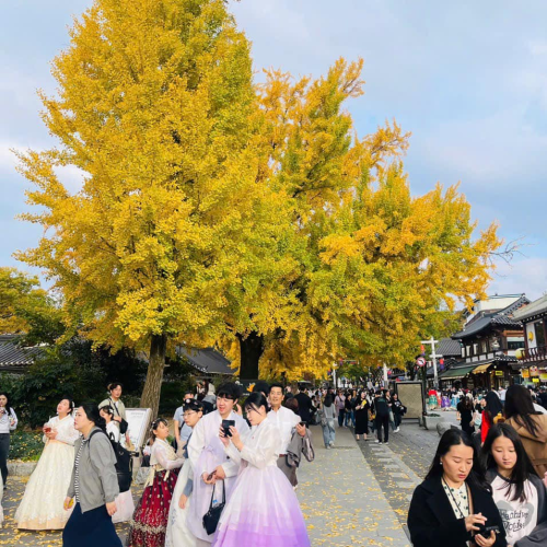 CÔNG TY TNHH DU LỊCH GOLDEN SKY