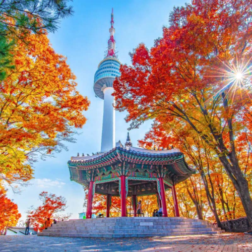 CÔNG TY TNHH DU LỊCH GOLDEN SKY