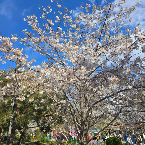 CÔNG TY TNHH DU LỊCH GOLDEN SKY