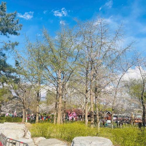 CÔNG TY TNHH DU LỊCH GOLDEN SKY