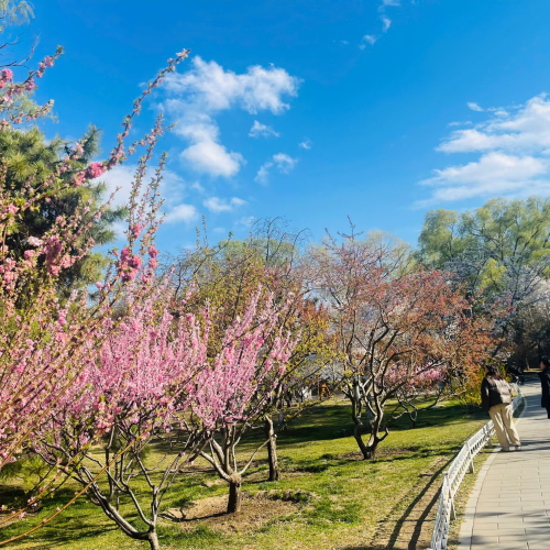 CÔNG TY TNHH DU LỊCH GOLDEN SKY