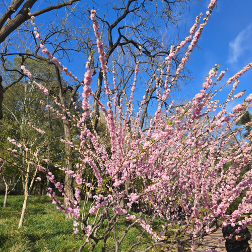 CÔNG TY TNHH DU LỊCH GOLDEN SKY