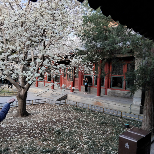 CÔNG TY TNHH DU LỊCH GOLDEN SKY