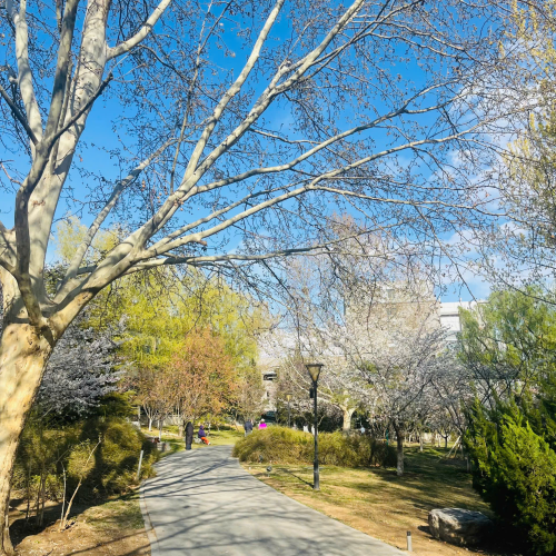 CÔNG TY TNHH DU LỊCH GOLDEN SKY