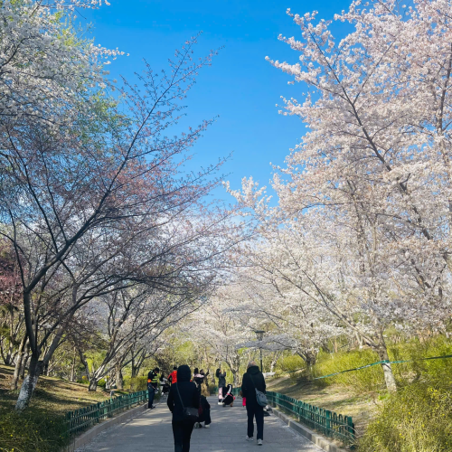 CÔNG TY TNHH DU LỊCH GOLDEN SKY