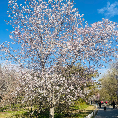 CÔNG TY TNHH DU LỊCH GOLDEN SKY