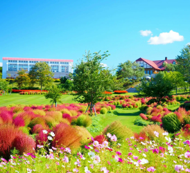 GSTRAVEL -HOKKAIDO  ASAHIKAWA – FURANA - JOZANKEI  OTARU – SAPPORO  22.10 NH