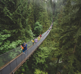 BỜ TÂY CANADA - 7N6Đ - THÁNG 06, 07, 08