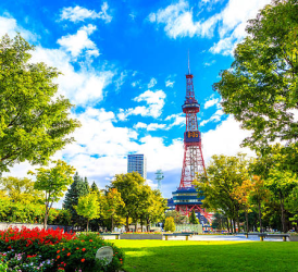 HOKKAIDO -ASAHIKAWA – FARM TOMITA - YOZENKEI  OTARU – SAPPORO 18.07 6N5D ALL