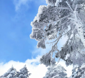 GSTRAVEL CÔN MINH – NÚI TUYẾT KIỆU TỬ   VƯƠNG QUỐC TÍ HON – HỒ ĐIỀN TRÌ