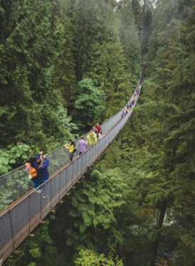 BỜ TÂY CANADA - 7N6Đ - THÁNG 06, 07, 08