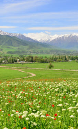 GSTRAVEL TÂN CƯƠNG MÙA HẠ Ô LỖ MỘC TỀ - KHUÊ ĐỒN- ĐẶC KHẮC TƯ - Y LÊ – NA LẠP THÌ 9n9d tháng 5-6 CA