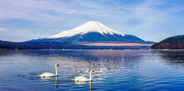 GSTRAVEL Tokyo – Yamanashi – Nagoya – Kyoto – Osaka M2 tết 6n5d VNA