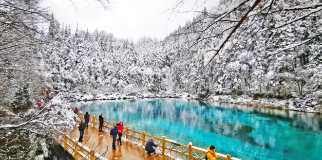 GSTRAVEL - CỬU TRẠI CÂU TRƯỢT TUYẾT GIA CÔ SƠN 7N7D MÙNG 2, MÙNG 3 TẾT