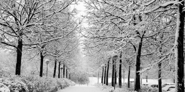 SEOUL – NAMI - LOTTE WORLD -TRƯỢT TUYẾT 6N5D VJ THÁNG 2 BAY TỐI 