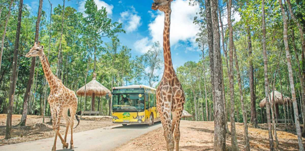 TOUR THÁI LAN BANGKONG - PATTAYA 5N4D VJ tháng 6-7