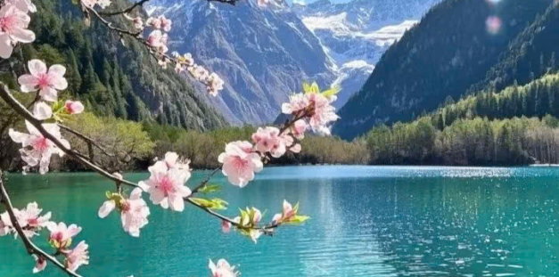 GSTRAVEL - THÀNH ĐÔ - CỬU TRẠI CÂU - LẠC SƠN - CÔNG VIÊN GẤU TRÚC 6N5Đ 3U tháng 3-4-5-6 noshop