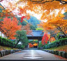 TOKYO - FUJI - NAGOYA - KYOTO - OSAKA - 6N5Đ - THÁNG 10, 11, 12 Mùa Thu